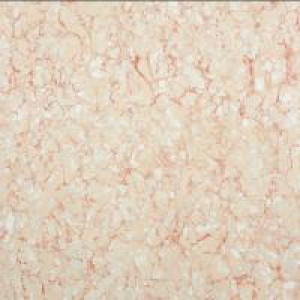 Gạch Trường Thịnh GRANITE EFFECT 8PTP010A
